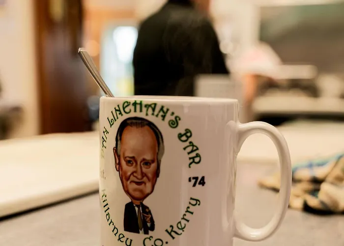 住宿加早餐酒店 Dan Linehan's