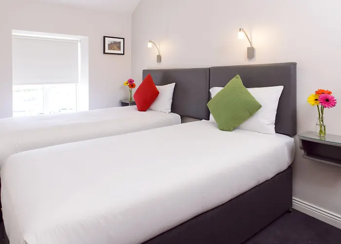 Dan Linehan's 4* 基拉尼